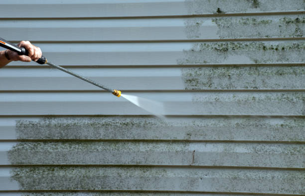 Best Building Exterior Washing  in Belle, WV